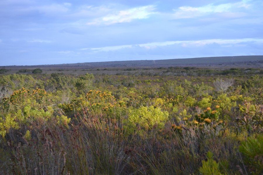 0 Bedroom Property for Sale in Gouritsmond Western Cape